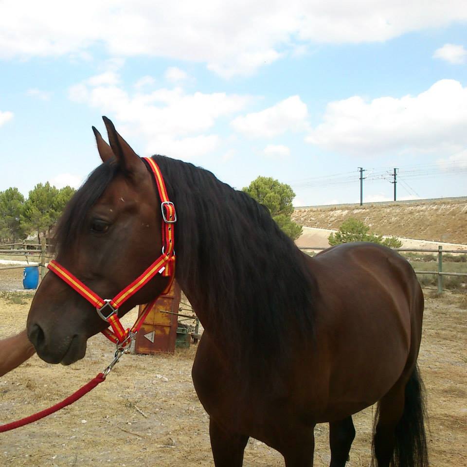 1535655_267649826723877_1913432254_n