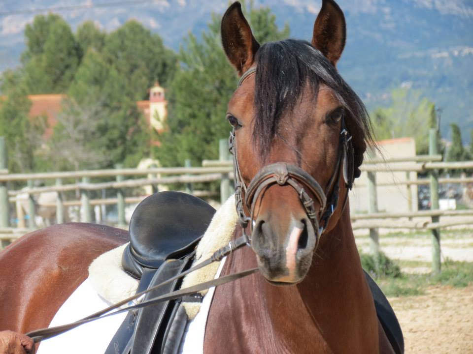 72966_267696556719204_1652574974_n