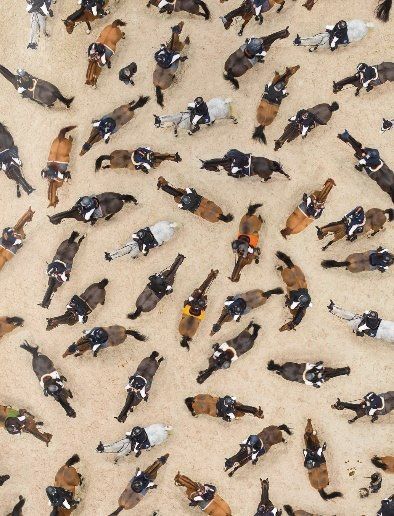 a3450d76120c857713896d9c20b28cd1