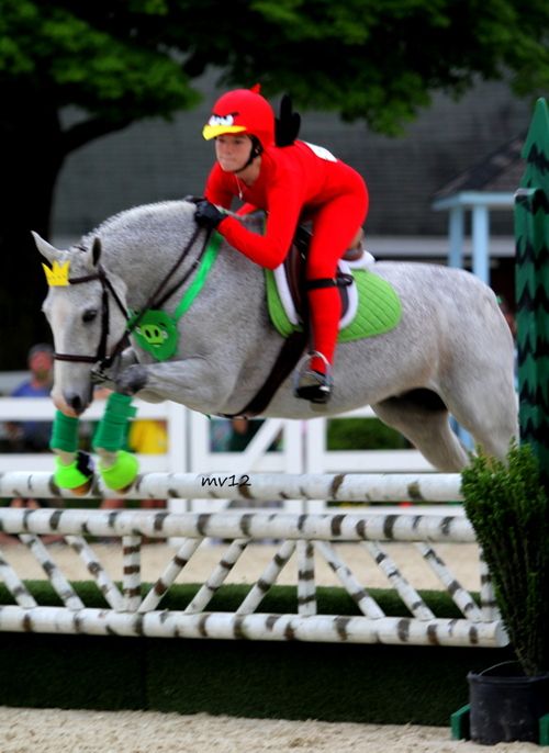 Disfraz caballo super heroe