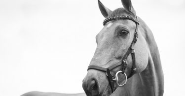 Eventos para estos próximos meses del 2018