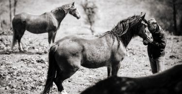 Algunas reglas no escritas de la equitación