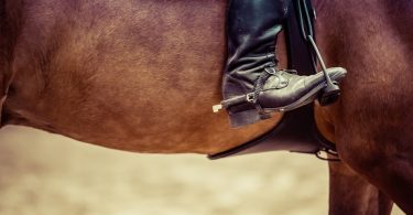 Reglas no escritas de la equitación