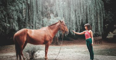 Las 10 mejores pelis sobre caballos