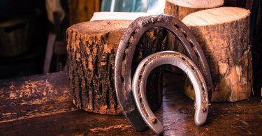 Regalos de Equitación para el Día del Padre