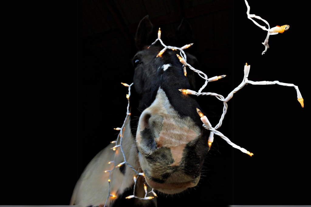 Caballo negro con guirnaldas de navidad