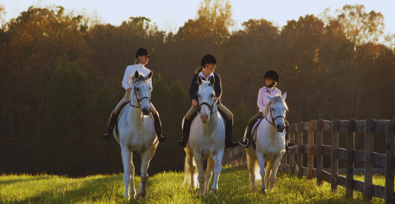 Familia montando a caballo con dos caballos blancos y un pony la niña, todos equipados para practicar equitación