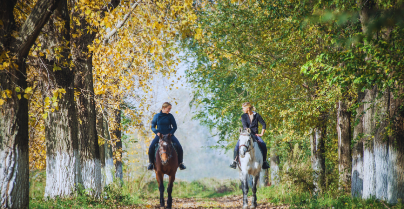 Chicas montando a caballo con dos caballos, tordo y castaño en el campo en otoño