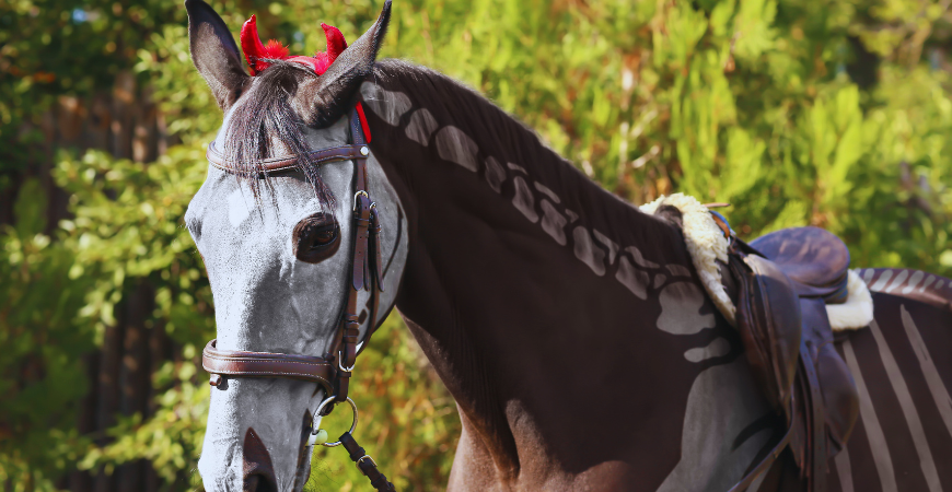 Caballo disfrazado de esqueleto