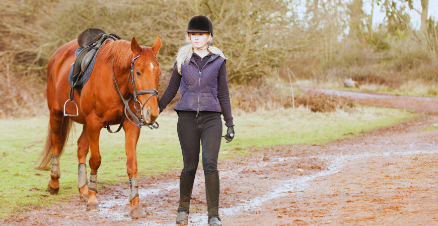 Amazona con su caballo alazán en el campo, pie a tierra